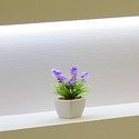 Decorative Profile Solutions