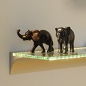 Functional Profile Solutions