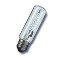 Halogen light bulbs