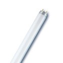 Fluorescent lamps