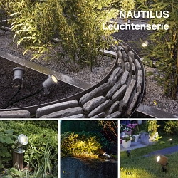Nautilus