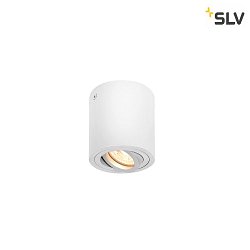 Ceiling luminaire TRILEDO CL, GU10 QPAR51, 30 swiveling, cylinder, white