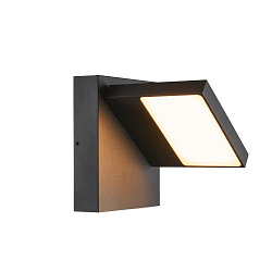 LED Auenwandleuchte ABRIDOR, IP55 IK03, 12W 3000/4000K (CCT Switch) 980lm, schwenkbar, Anthrazit