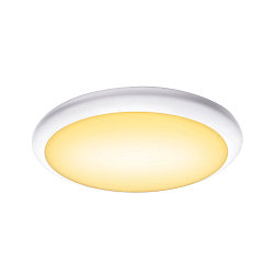 LED Auenleuchte RUBA 42 CW LED Wand-/Deckenleuchte, CCT switch 3000/4000K, 2000/2270lm, IP65, wei