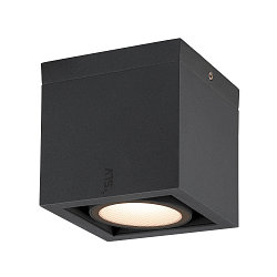 Outdoor LED Deckenleuchte ESKINA FRAME CL SINGLE CCT, IP65 IK06, 15W 3000/4000K 95, verstellbar, anthrazit