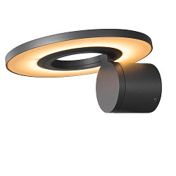 outdoor wall luminaire I-RING round, switchable, with diffuser, cardanic swivelling IP65, anthracite 