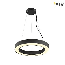 LED Pendelleuchte MEDO RING 60 DALI, 26W 3000/4000K (CCT Switch) 3750lm 110, CRi >90, DALI dimmbar, schwarz