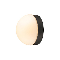 wall and ceiling luminaire CYFT DOME IP65, black dimmable