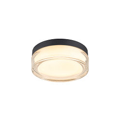 LED Wand-/Deckenleuchte CYFT XL, 125, 15W, 2700/3000/4000K, 810lm, IP65, dimmbar, schwarz / klar