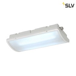 Luce di emergenza P-LIGHT AREAL LED IP65, Bianco