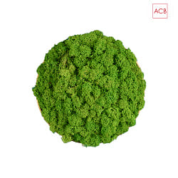 decorative element CHAMALEON 16/3975, light green