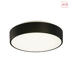 Luminaire de plafond DINS 395/32 IP44, noir mat