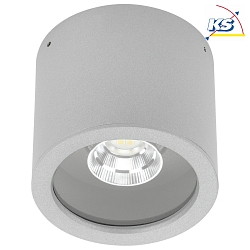 LED Auendecken-Strahler Typ Nr. 2319, IP44,  11cm, 8W 3000K 800lm 30, schwenkbar 30, Silber matt