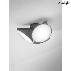 Luminaire de plafond PL ORCHID IP20, anthrazit, gris gradable