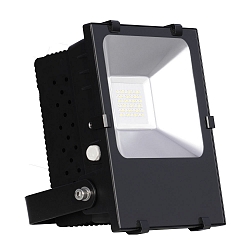 Blulaxa LED Floodlight 100W, 110, cool white