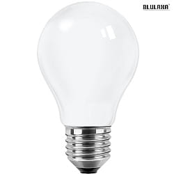 Blulaxa LED Filament lamp pear shaped, E27, 7W 6000K 810lm 300, glass clear