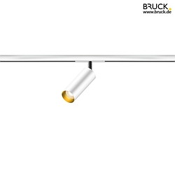 2-Phasen Strahler FINO 30 LV ALL-IN IP20, gold, wei dimmbar