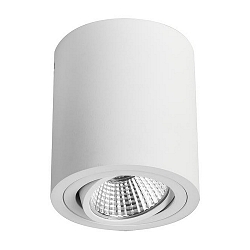 Surface LED spot, IP20, round, height 9.5cm /  8.5cm, 230V AC, 6W 3000K 640lm 38, swivelling 25