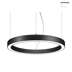 LED Pendel-Ringleuchte BIRO CIRCLE, IP20,  250 cm, Hhe 10 cm, 249W, 3000K, 25374lm, dimmbar Casambi, schwarz