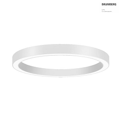 Luminaire de plafond BIRO CIRCLE  150/10CM contrlable par DALI, Tunable White, direct LED IP20, blanche gradable
