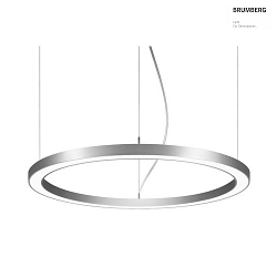 Luminaire  suspension BIRO CIRCLE rond, commutable LED IP20, argent 