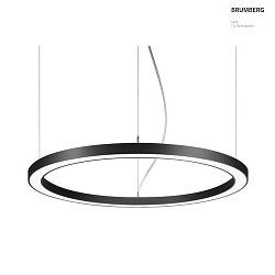 Luminaire  suspension BIRO CIRCLE rond, commutable LED IP20, noir  