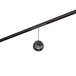 Lumire  suspension sur rail PEPA BALL 15-55 Bas, contrlable par DALI, focalisable IP20, noir mat gradable