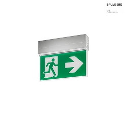 emergency luminaire EKW IP41, silver
