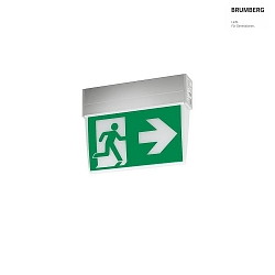 emergency luminaire EKW IP41, silver