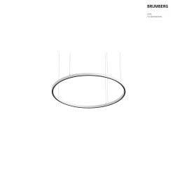 LED Pendelleuchte DEVON, Ringform, Ø 120cm, CRi >90, UGR <19, DALI-2 dimmbar, 54W 3000K, strukturweiß