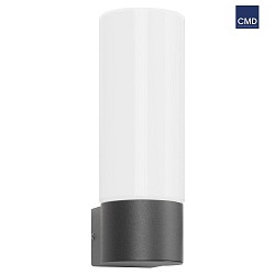 Outdoor wall luminaire AQUA WALL, IP44, E27, stainless steel / opal glass, anthracite