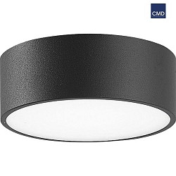 Lampada da parete e soffitto piccolo, rotondo IP65, antracite 