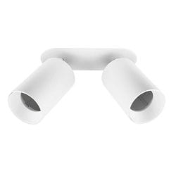 recessed spotlight CAN TILT 2 flames, round, rotatable GU10 IP20, white dimmable