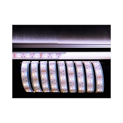 Flexible LED strip, 5050, SMD, 12V DC, 43.2W, 300cm, warm white + cool white, 3000x18x5mm, 3000-7000K