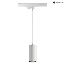 Faretto trifase LUCEA 20 IP20, trasparente, bianco traffico dimmerabile