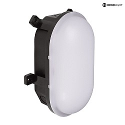 damp-proof luminaire SOTANO IP54 oval, CCT Switch, impact resistant, switchable, multipower IP54, black 