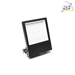 Outdoor LED floodlight ATIK, IP65 / IP44, 152W, 4000K 21350lm 110, black