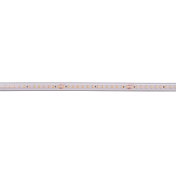 LED Strip 2835-140-48V-SILIKON white
