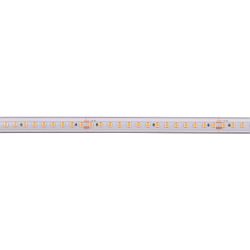 LED Stripe LONG RUN, 5m, SMD LED, 48V DC, 120°, 140 LED/m, 10W/m, IP67, 3000K