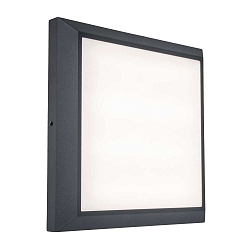 wall and ceiling luminaire HELENA square IP54, anthracite