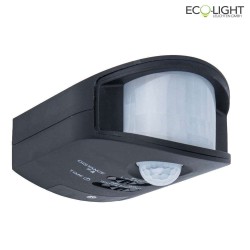 motion sensor TORUS, anthracite