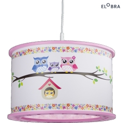 Pendant luminaire 