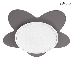 ceiling luminaire BLUME STARLIGHT, silver dimmable