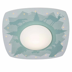 LED Ceiling luminaire SCANDI WALD LED board + 20 LED, 11W, 3000K, mint green
