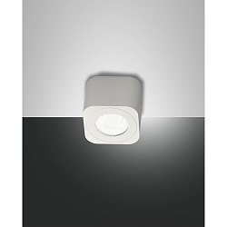Downlight PALMI IP20, In parte satinato, Bianco 