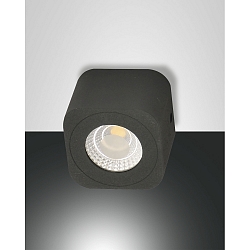 LED Deckenspot PALMI, 6.5 x 6.5cm, 6W 3000K 540lm, Aluminium, starr, Anthrazit