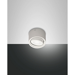 LED Deckenspot ANZIO, 6W 3000K 540lm, Aluminium, schwenkbar, Wei