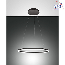 Luci a sospesione GIOTTO 1 elemento, controllabile con la voce, incluso Smartluce IP20, satinato, nero dimmerabile
