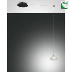 Luci a sospesione ARABELLA lang, controllabile con la voce, incluso Smartluce IP20, nero, bianco dimmerabile