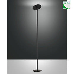 Lampada da terra REGINA IP20, satinato, nero dimmerabile